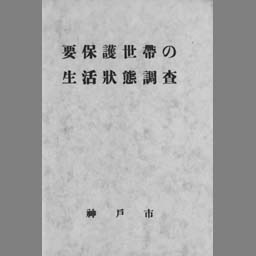 main image of this resource