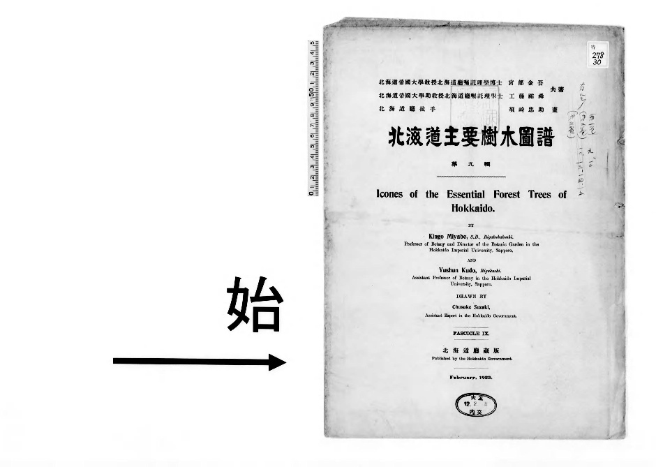 北海道主要樹木図譜 | 宮部 金吾, 工藤 祐舜, 須藤 忠助 画 |本