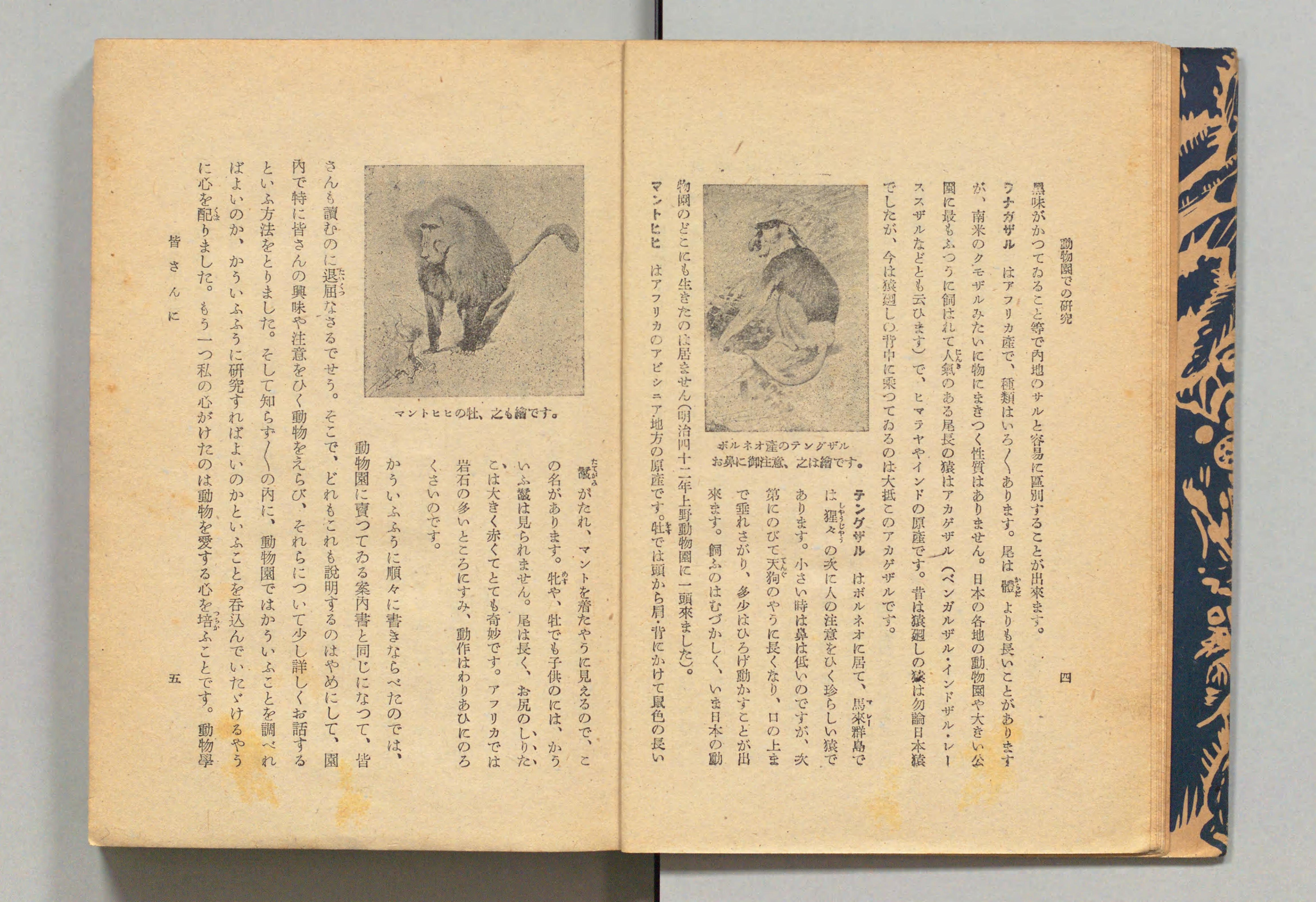 珍らしい動物たち 高島春雄著 動物園での研究 - Next Digital Library