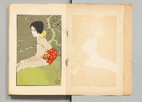 蕾