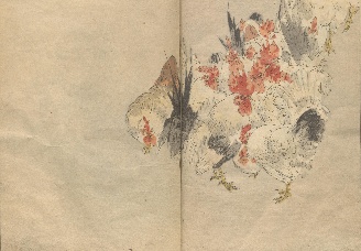 渡辺省亭の花鳥画譜｜NDLイメージバンク｜国立国会図書館