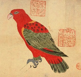 インコ(紅音呼)