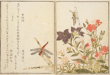 時代の風雲児・蔦屋重三郎 | NDLギャラリー | 国立国会図書館