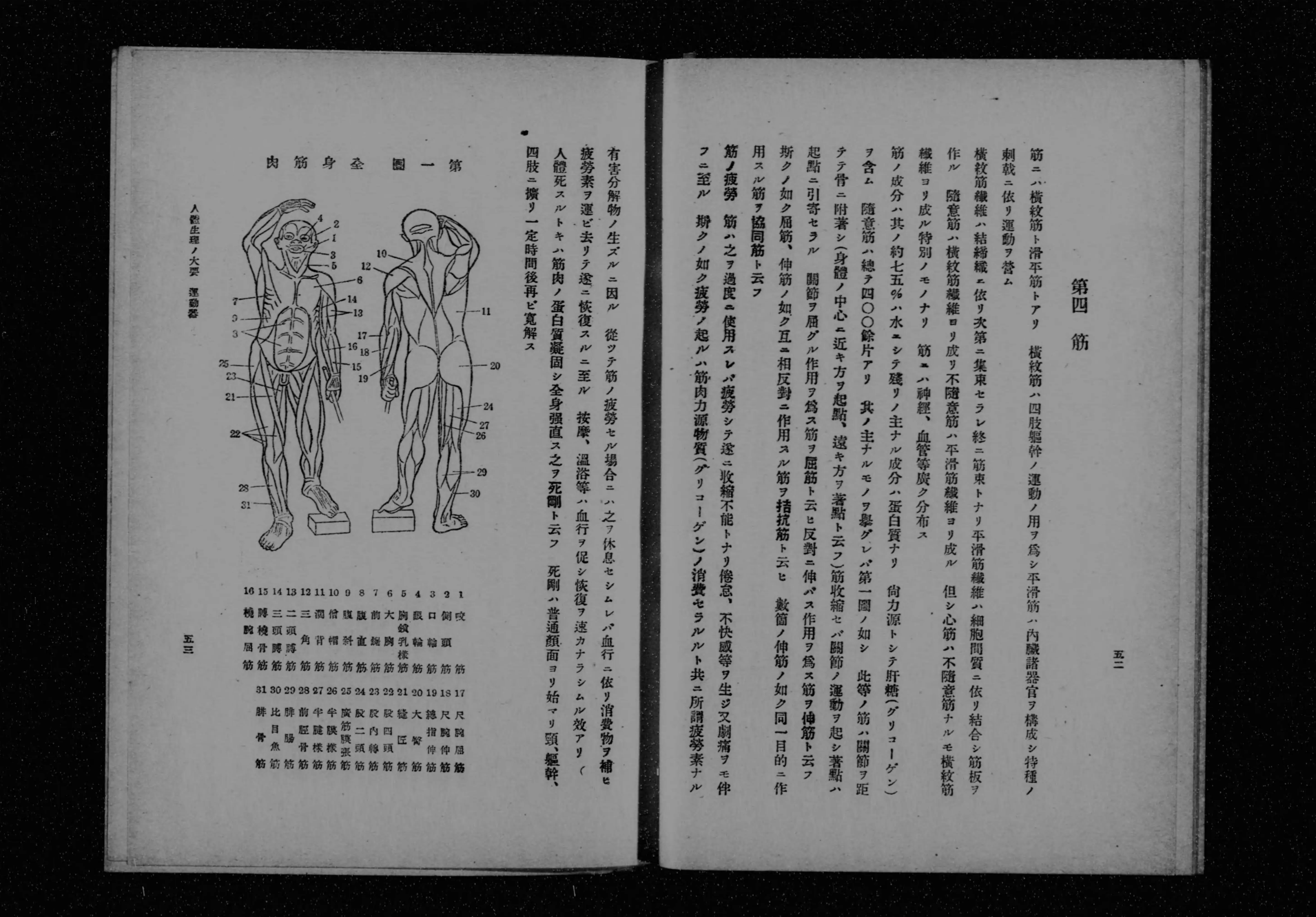 衛生下士官候補者教程草案 - Next Digital Library