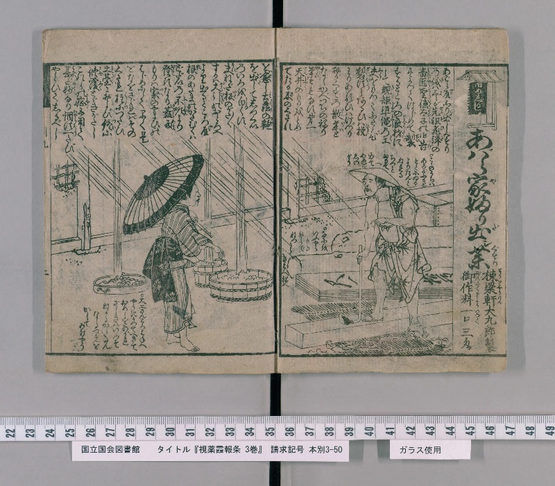 視薬霞報条 3巻 - ページ 3