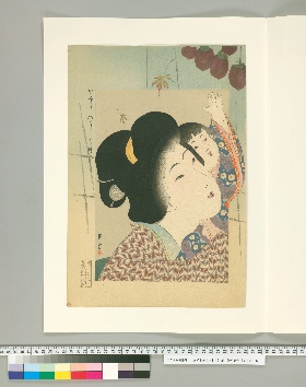 いますがた. [9]