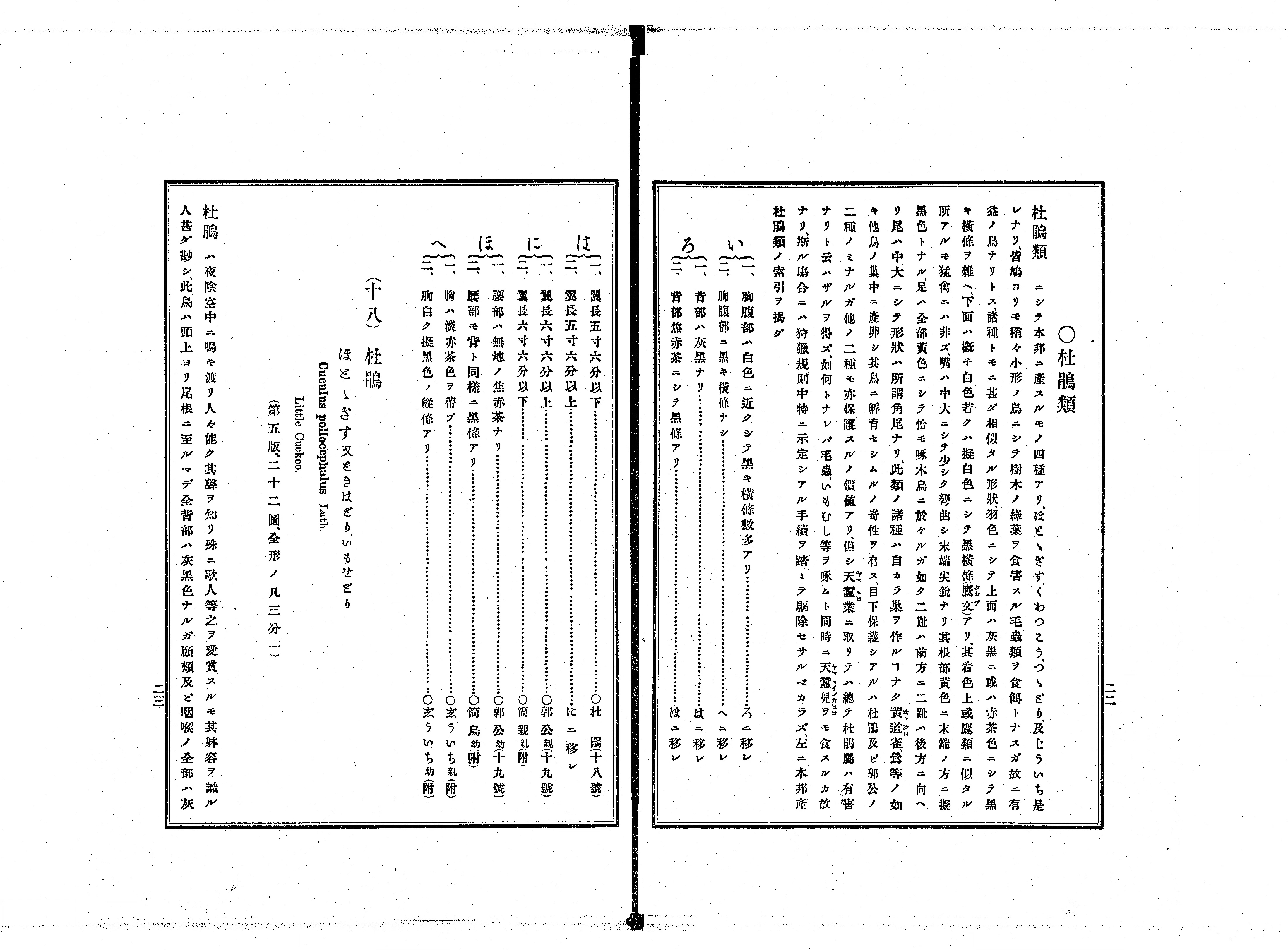 保護鳥図譜 - Next Digital Library