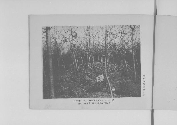 送料無料 いくらから 明治四十年陸軍特別大演習紀念写真帖 - Next Digital Library コレクション