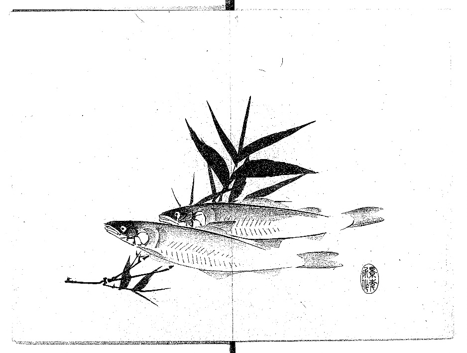 Amazon.co.jp: 景年習画帖(全7冊セット): 木版彩色摺 : 今尾景年: 本