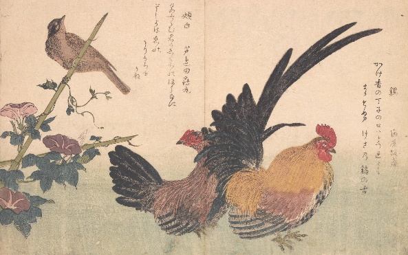 所蔵古典籍資料の紹介画像
