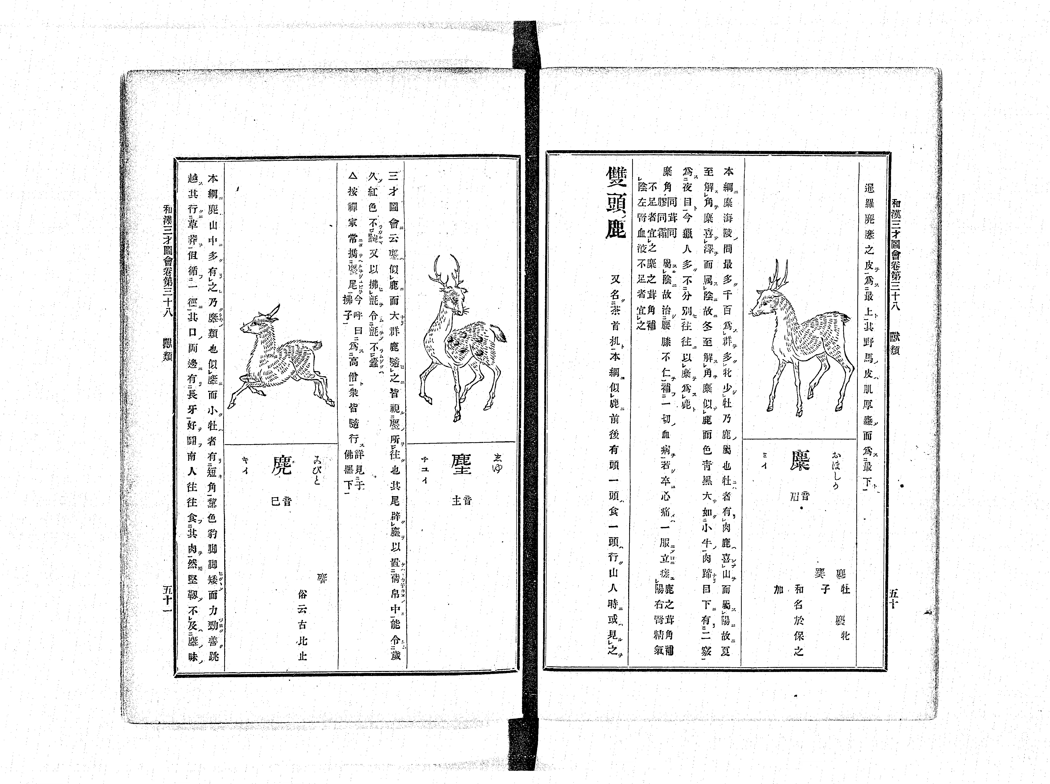 和漢三才図会 - Next Digital Library