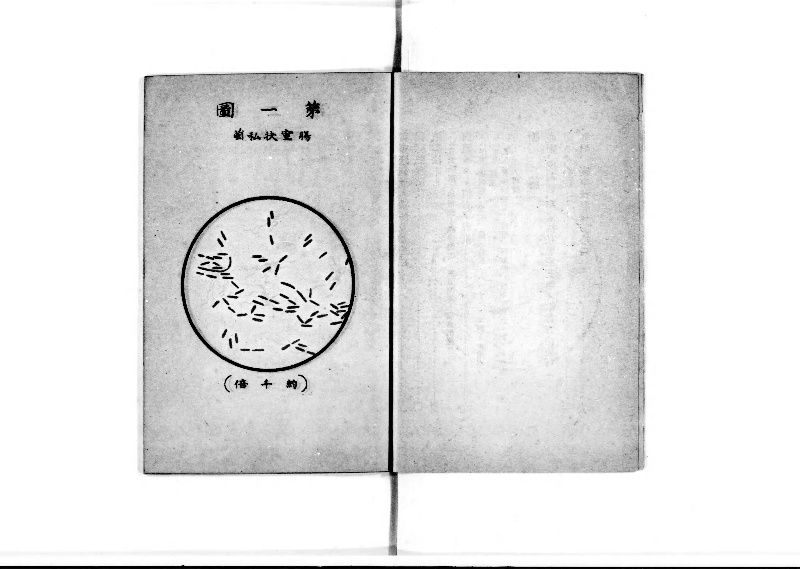 袖珍防疫必携 - ページ 4