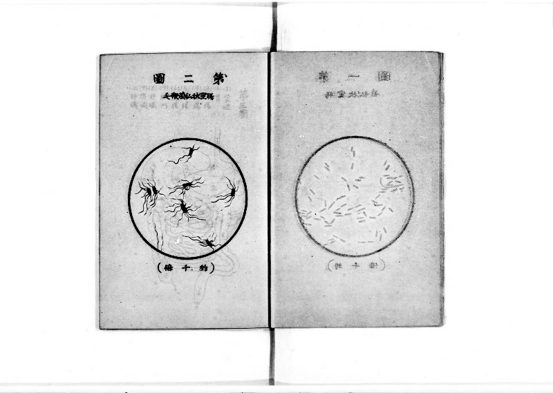袖珍防疫必携 - ページ 5