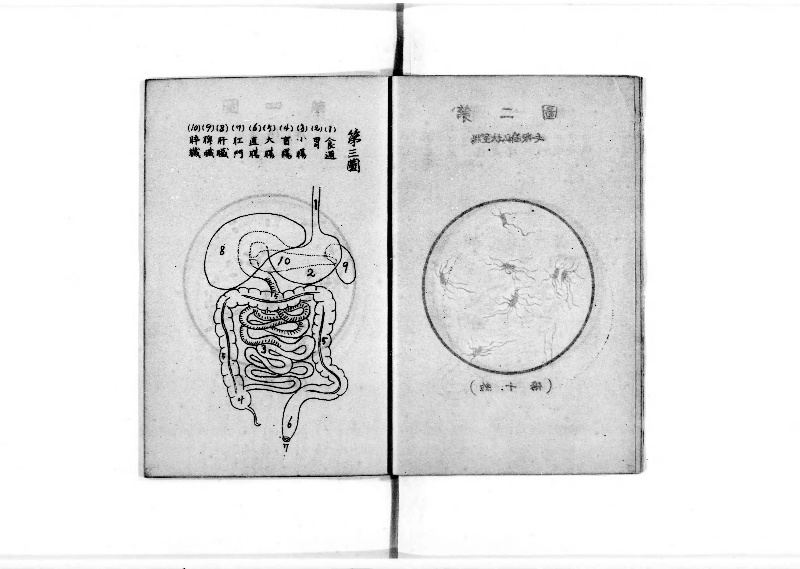 袖珍防疫必携 - ページ 6