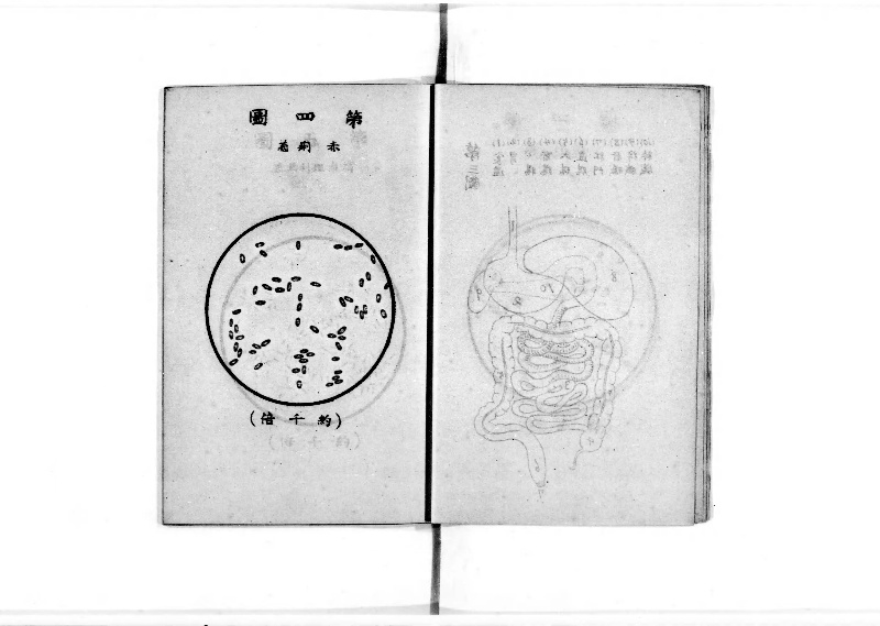 袖珍防疫必携 - ページ 7