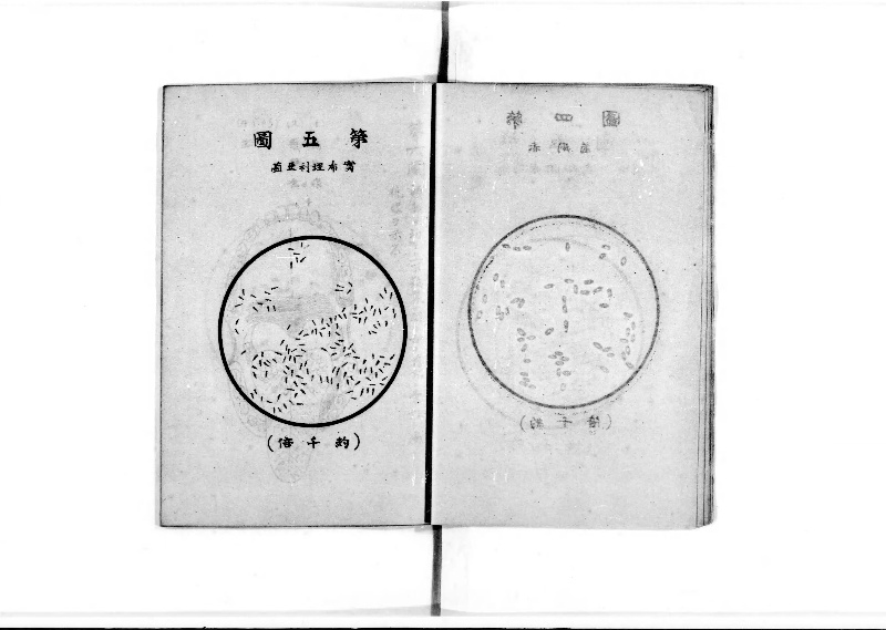 袖珍防疫必携 - ページ 8