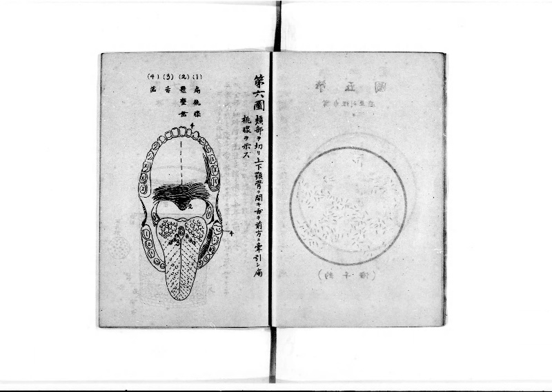 袖珍防疫必携 - ページ 9