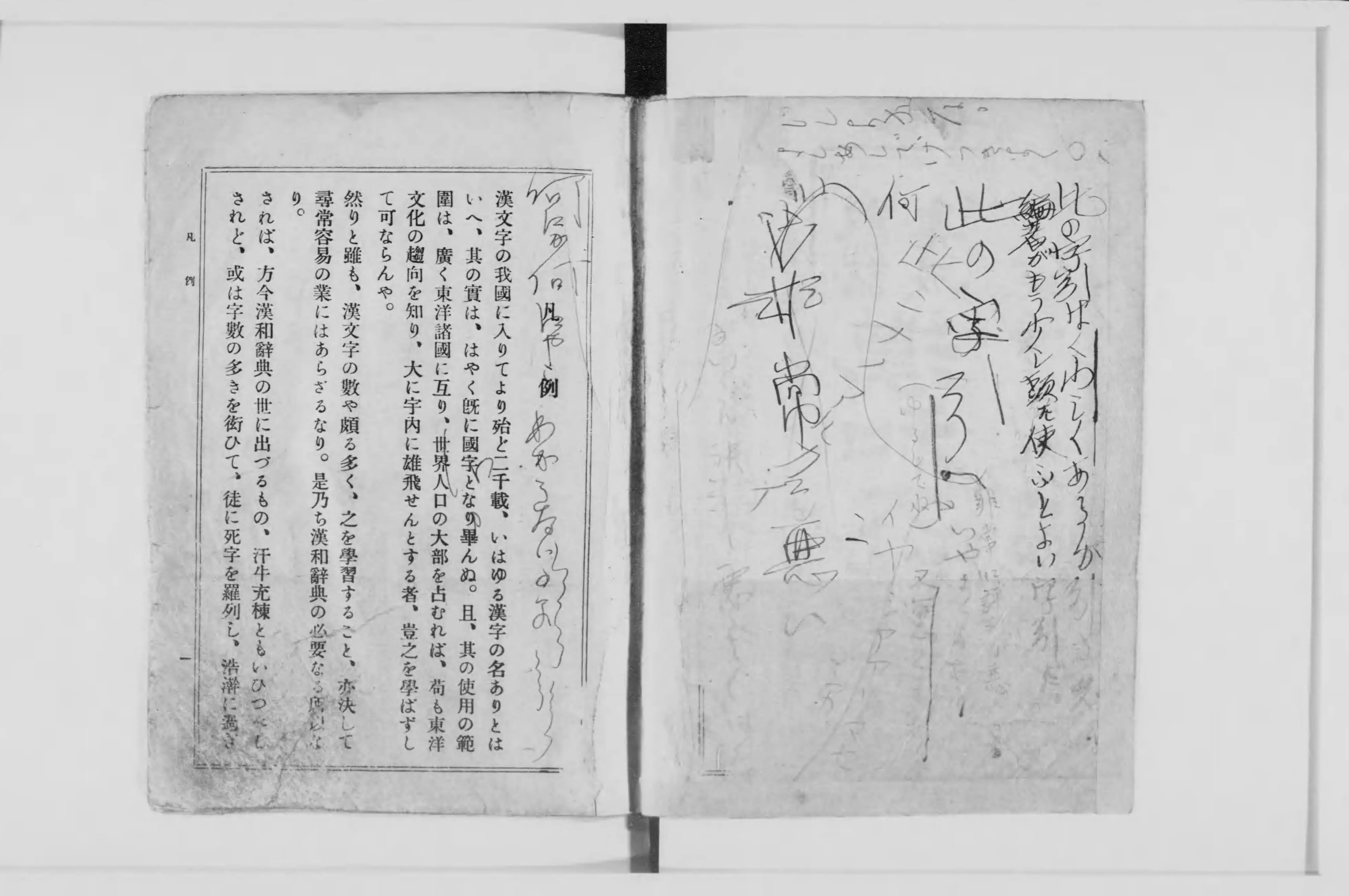 【新発売】 熟語集成漢和大辞典 - Next Digital Library 漢和辞典