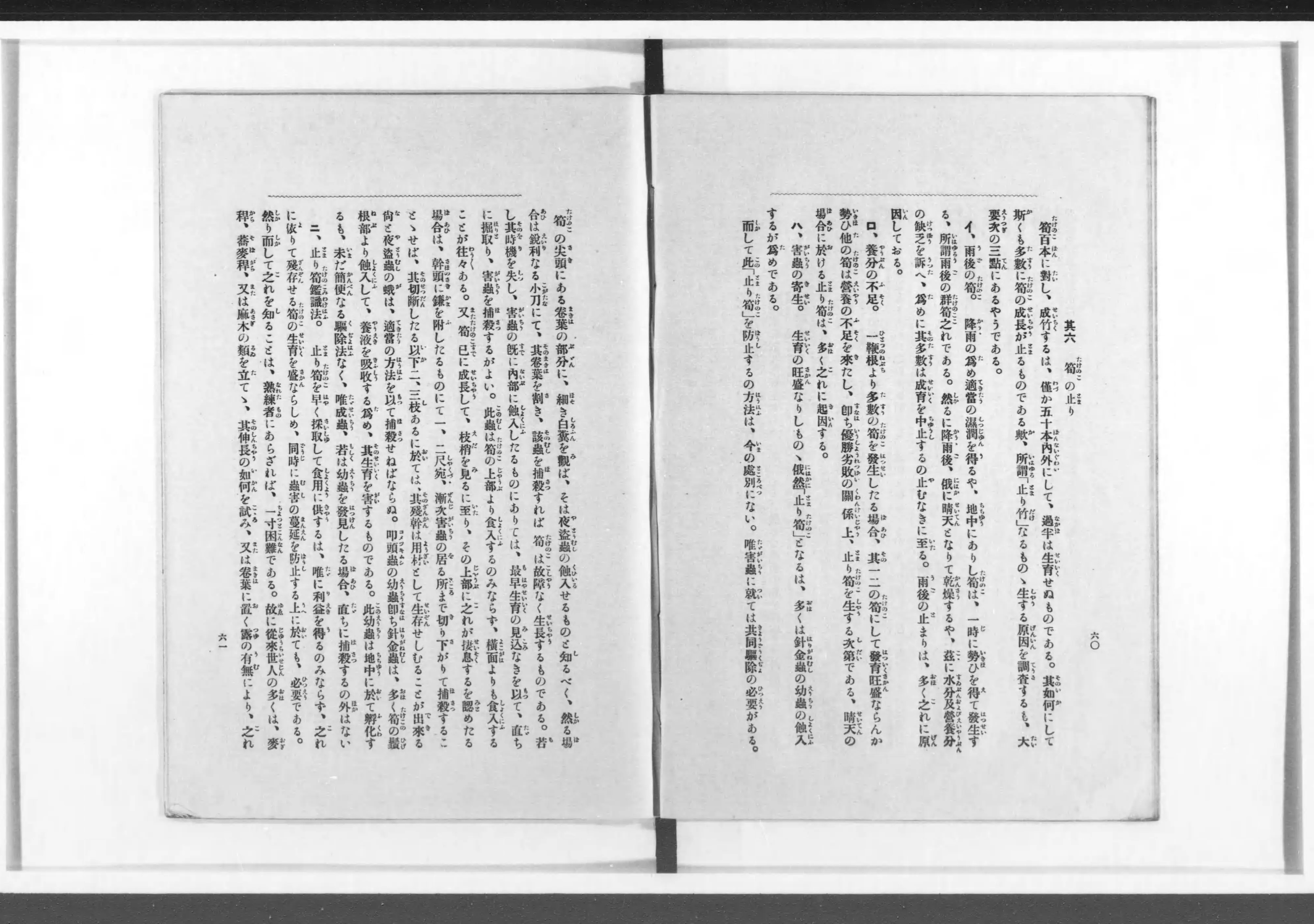 実験竹林造成法 - Next Digital Library