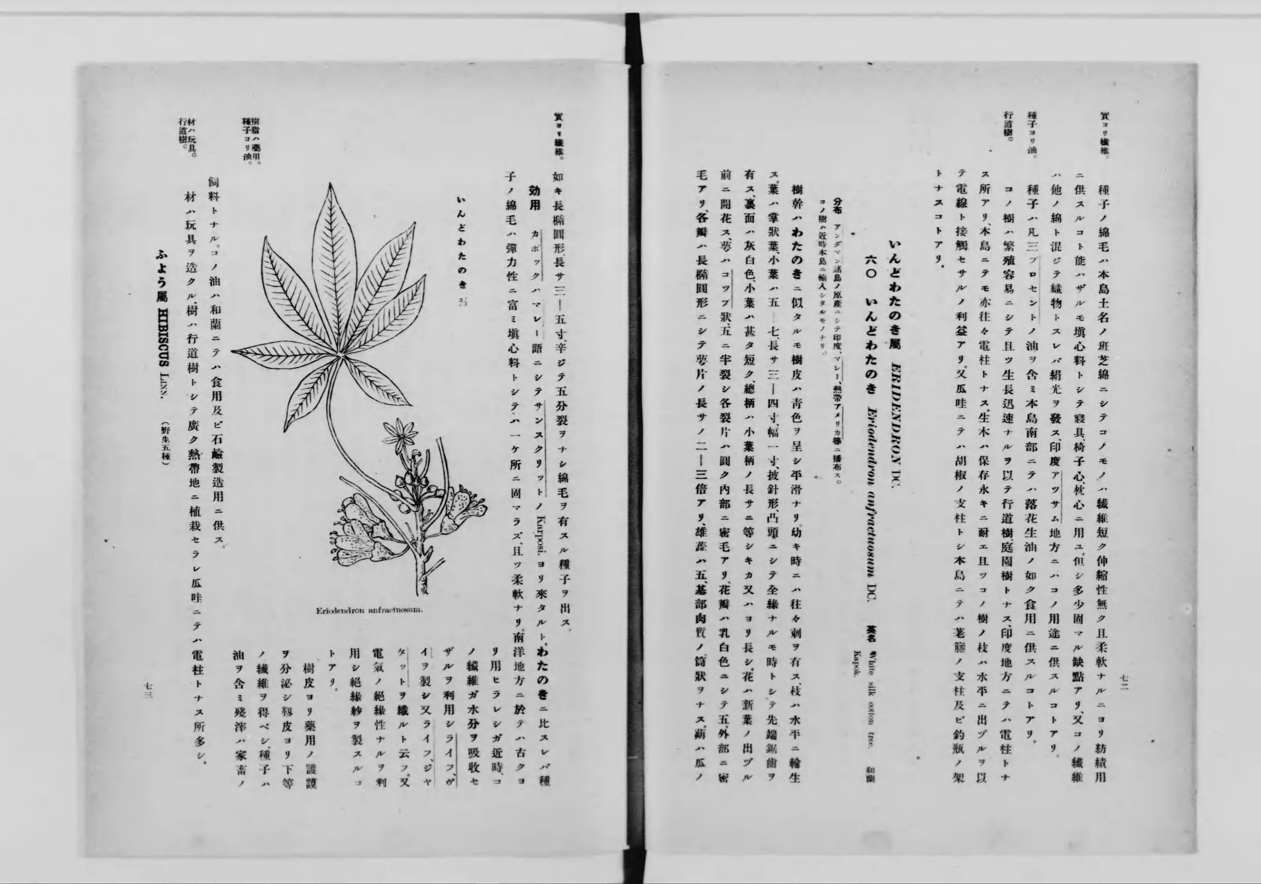 復刻版 増補改訂 台湾樹木誌 金平亮三』井上書店 昭和54年(元版