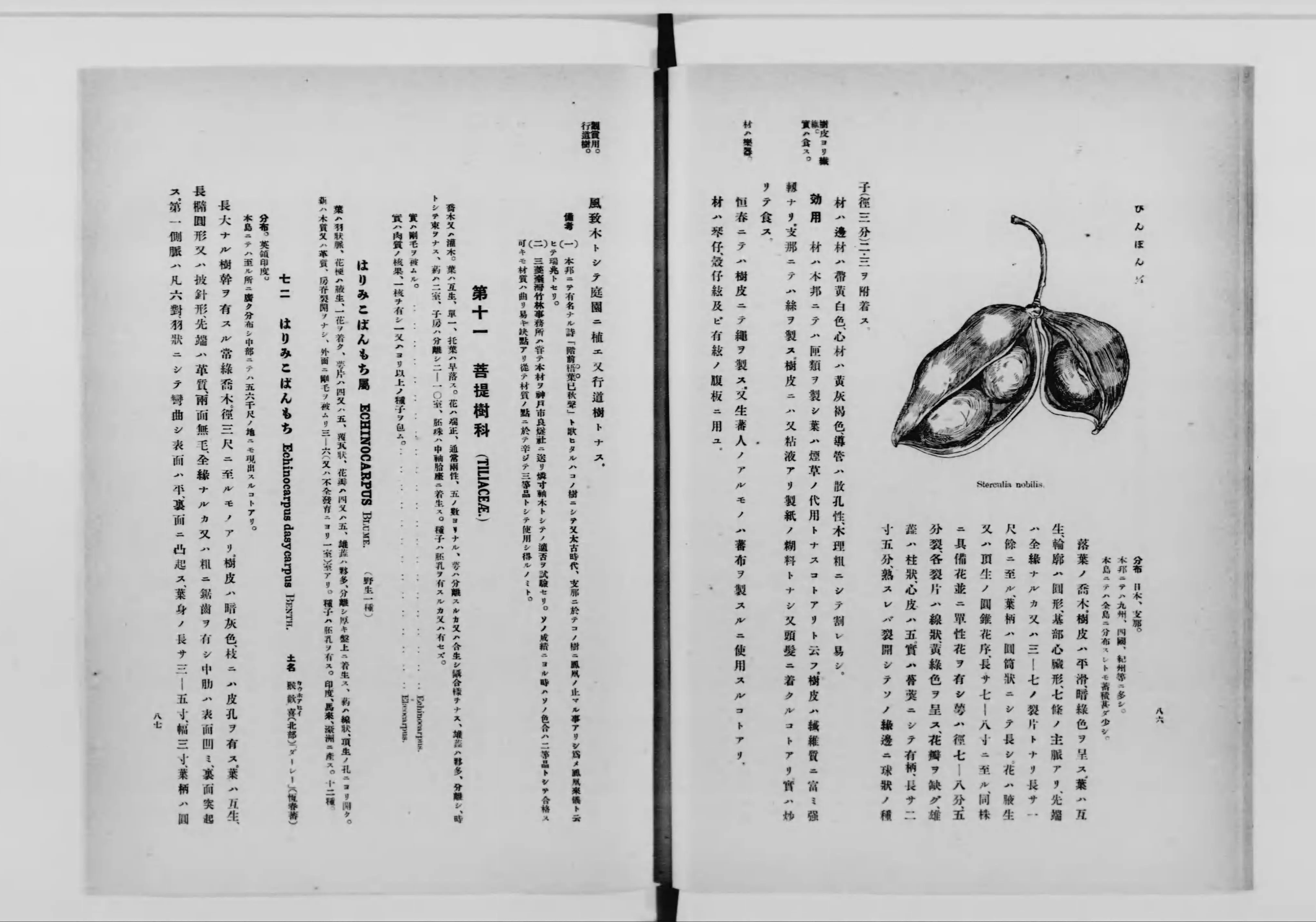 台湾樹木誌 - Next Digital Library