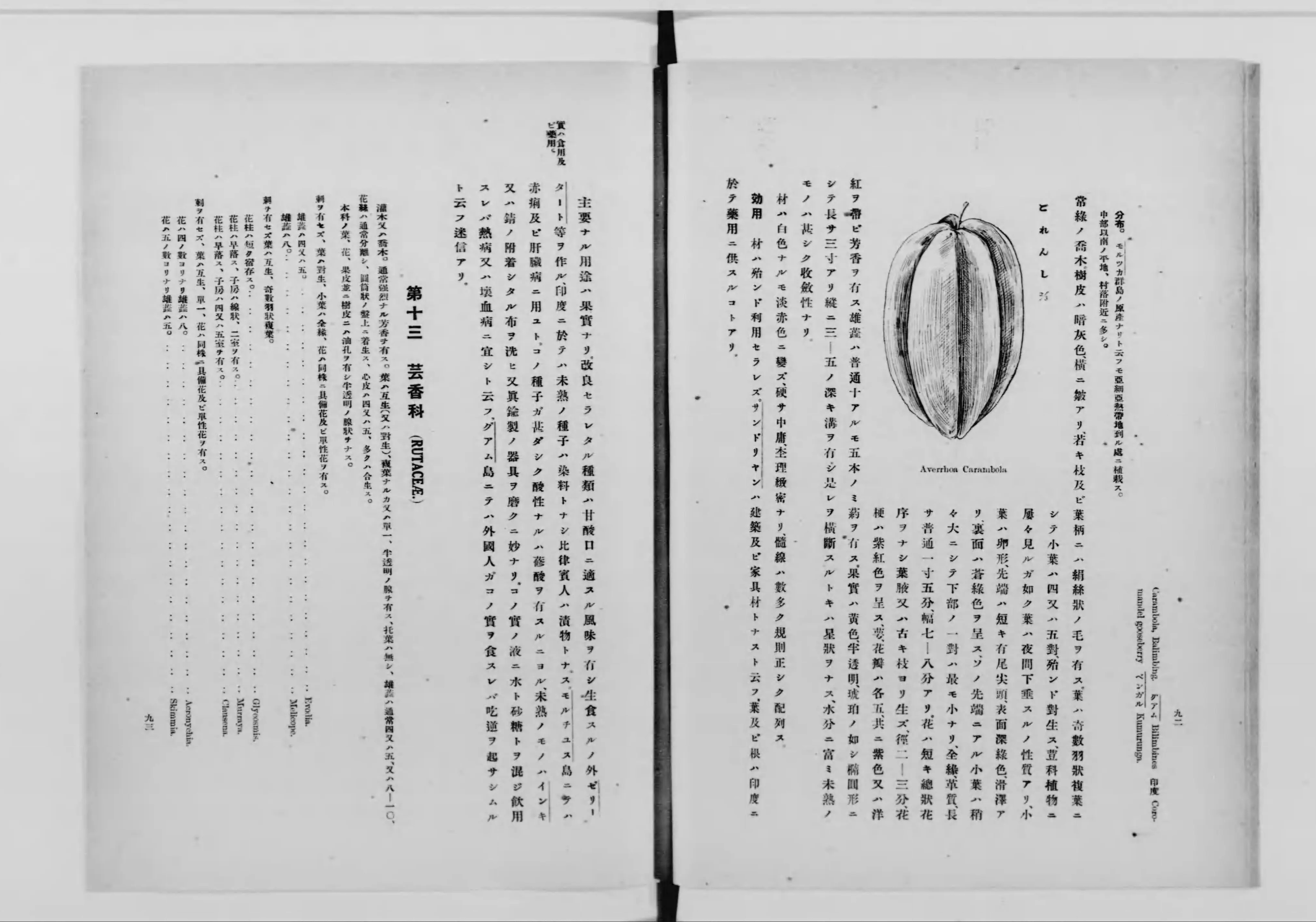 復刻版 増補改訂 台湾樹木誌 金平亮三』井上書店 昭和54年(元版