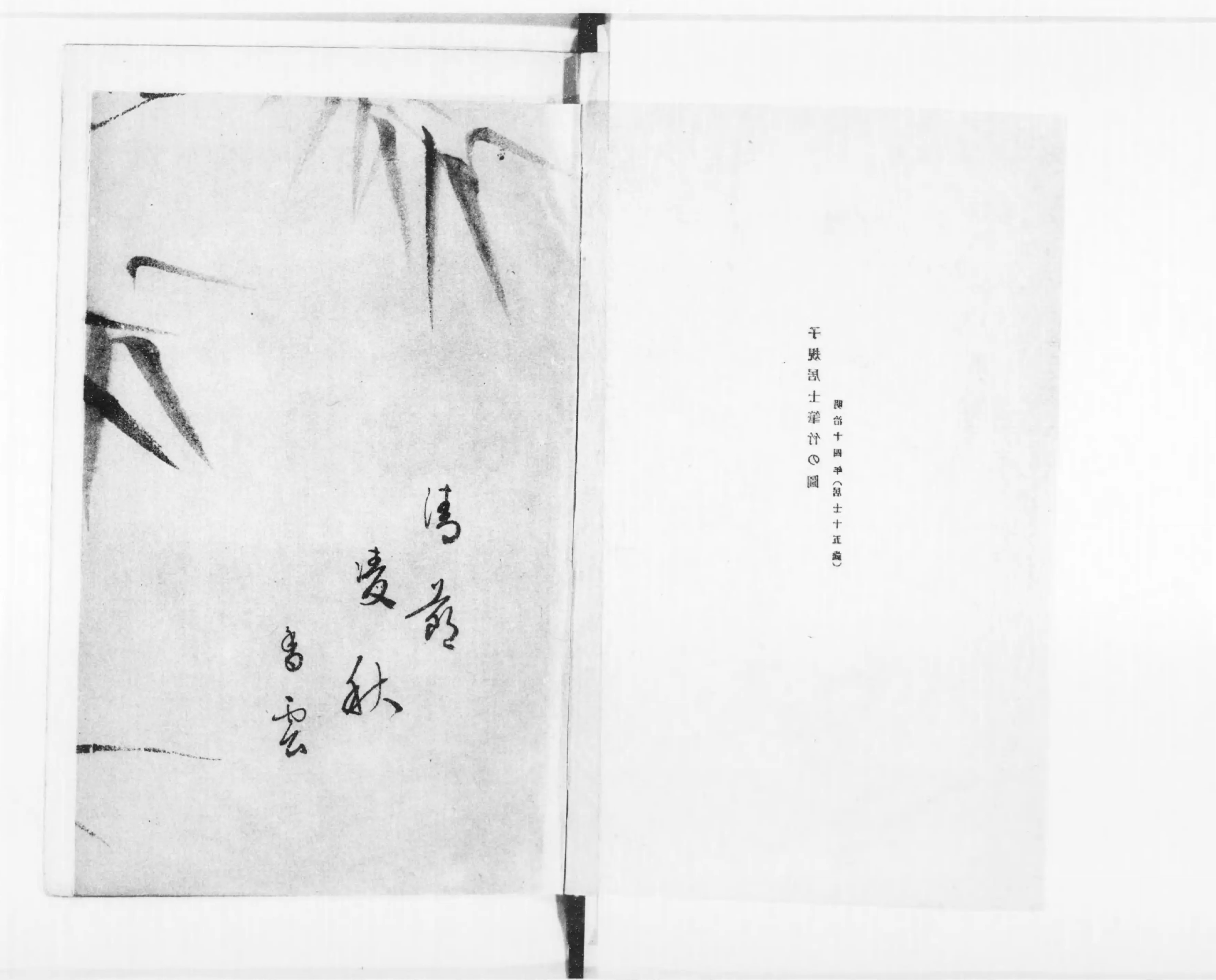 子規全集 / 古本、中古本、古書籍の通販は「日本の古本屋
