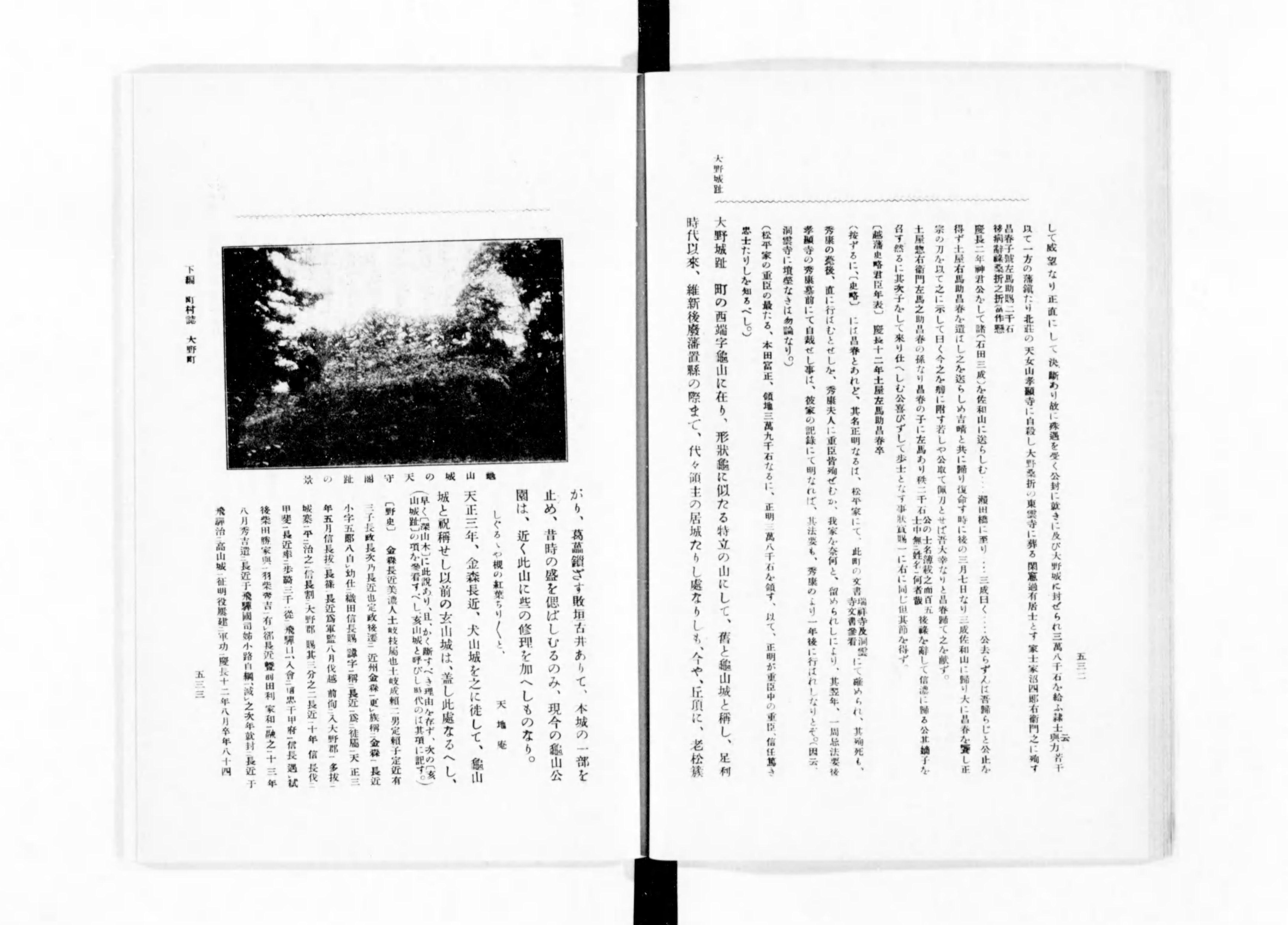 福井県大野郡誌 - Next Digital Library