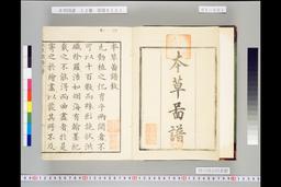 本草図譜九十一・苞木類 岩崎灌園（常正）著画 彩色木版画本